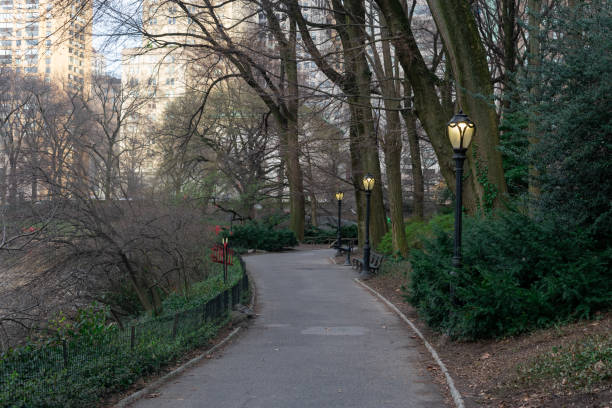 istock Empty Walkway at Central Park during Spring in New York City with Street Lights 1223725366