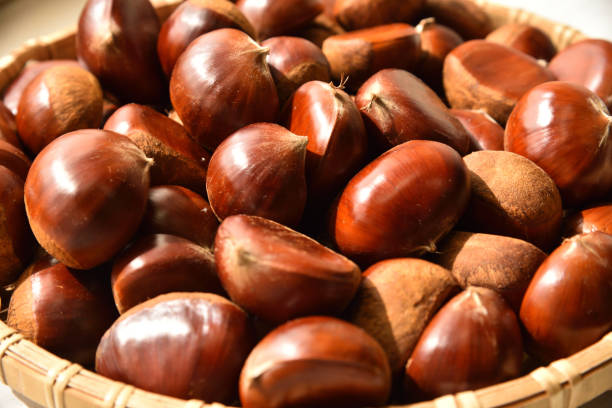 castagne - chestnut cooked isolated white foto e immagini stock