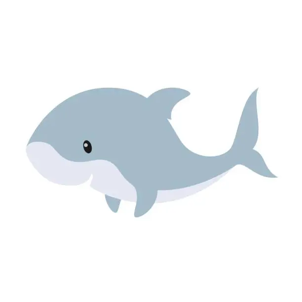 Vector illustration of Cute Shark Vector Illustration