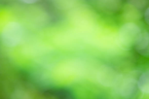 istock Natural green blured bokeh background. 1223737307