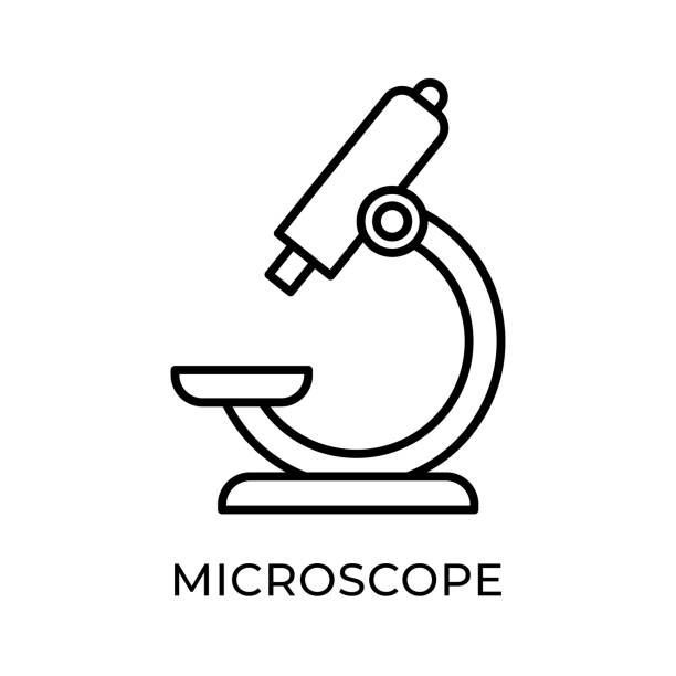 ilustraciones, imágenes clip art, dibujos animados e iconos de stock de ilustración vectorial del icono del microscopio. plantilla de ilustración de diseño vectorial de microscopio aislada sobre fondo blanco. icono vectorial de microscopio diseño plano para sitio web, logotipo, signo, símbolo, aplicación, interfaz de usu - microscopio