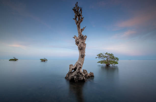 istock Once upon a time in middle of the sea 1223739217