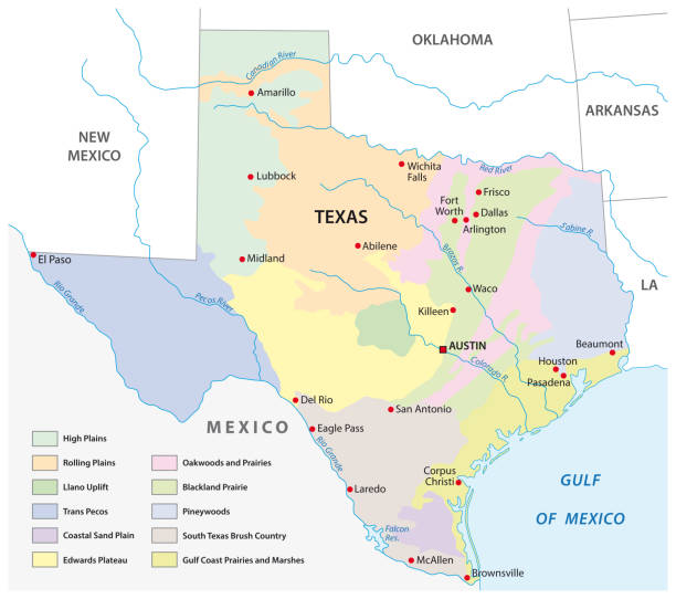 ilustrações, clipart, desenhos animados e ícones de mapa vetorial das regiões físicas do texas - physical geography