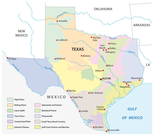 векторная карта физических регионов техаса - physical geography illustrations stock illustrations