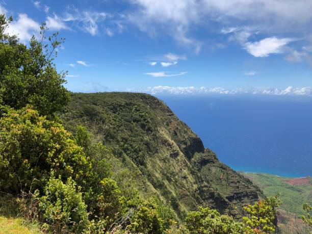 istock Kauai Coastline 1 1223746936