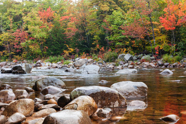istock Swift River, North Conway. Kancamagus Highway. 1223747915