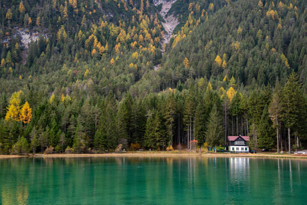 istock Lago di dobbiago lake and forest. Italian aps 1223748947