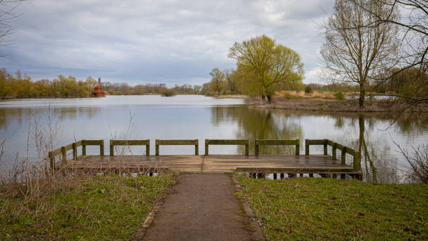 istock Foodplain park Meinerswijk in The Netherlands 1223749057