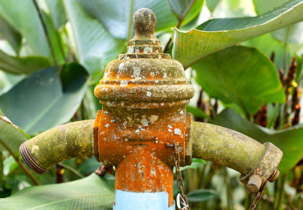 A view of an old rusty hydrant from above