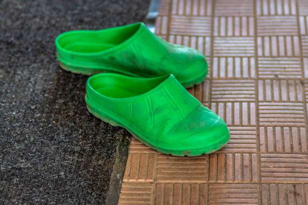 istock Green rubber slippers 1223753279