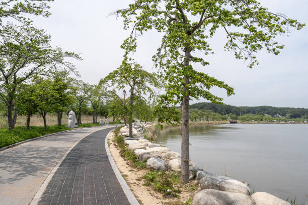 istock Gyeongpoho lake trails 1223756725