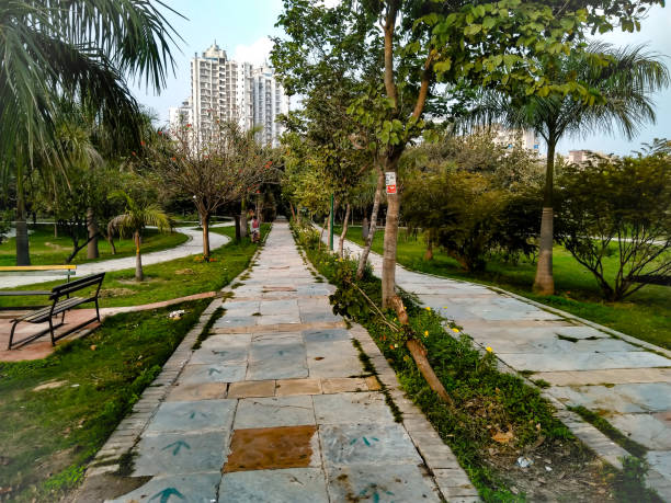 istock A picture of garden 1223758650