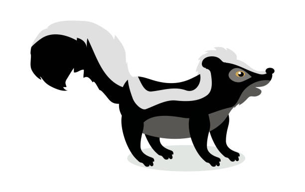 skunk мультфильм вектор иллюстрация в плоский дизайн - skunk stock illustrations