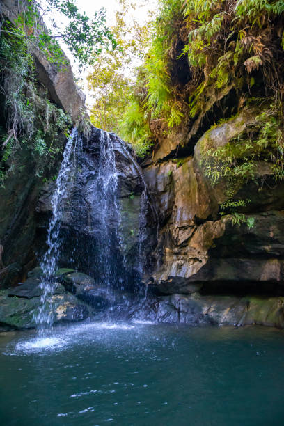 istock A lake with a small waterfall surrounded by many plants 1223762972