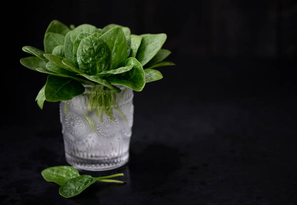 Fresh spinach