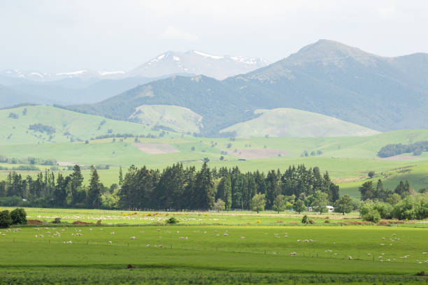 istock Lush green fields as far as the eye can see 1223767138