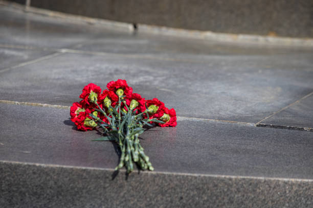 istock Red carnations on a gray granite slab 1223767907