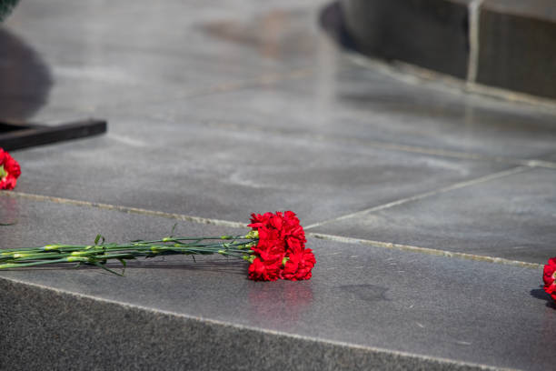 istock Red carnations on a gray granite slab 1223767947
