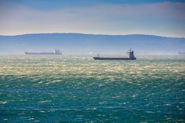 istock View of the international container cargo ship in the Trieste sea 1223768220