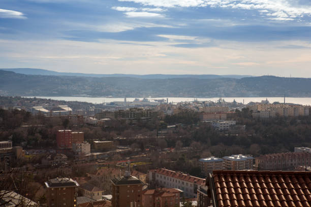 istock Top view of Trieste the sea 1223768239