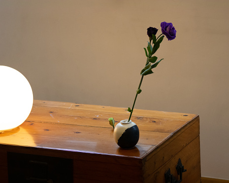 A flower sticks out of a handmade pot illuminated by a strong lamp while another little bud springs out of the wood in the background. A unique interpretation of relaxation and quite hood