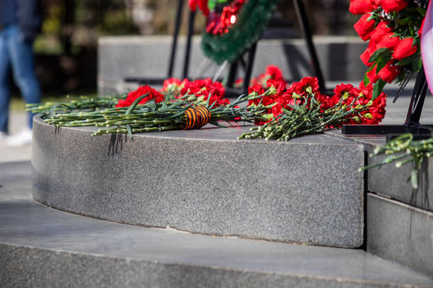 istock Red carnations on a gray granite slab 1223768526