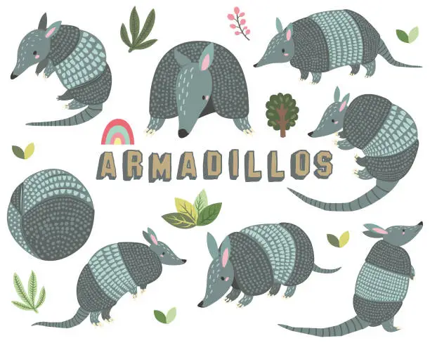 Vector illustration of Cute Little Armadillos Collections Set