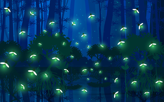 fireflies at the mangrove forest in the night