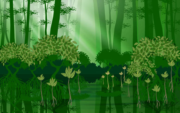 ilustraciones, imágenes clip art, dibujos animados e iconos de stock de web - sky forest root tree