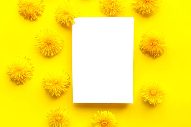 istock White mockup blank and yellow blooming danlelions on bright yellow background. Springtime concept. Copy space for the text 1223772454