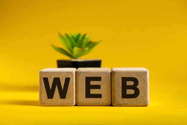 istock WEB - conceptual text on wooden cubes on a bright background and a black pot with a flower behind 1223773978