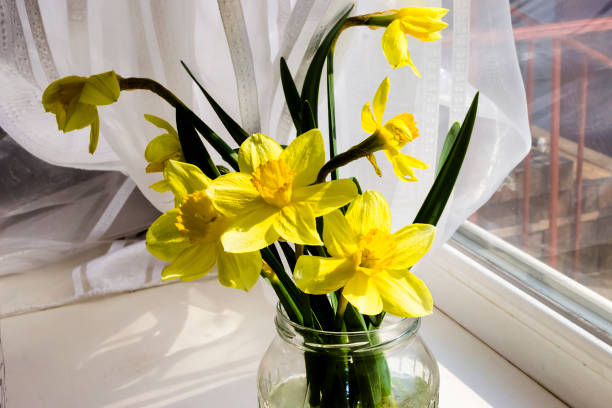 istock Yellow daffodil flowers in vase on the table 1223775037