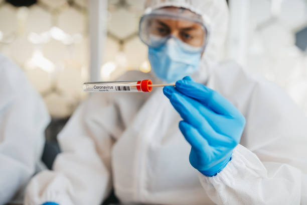 istock Two male doctors in protective suits sort and analyze swabs on corona virus 1223775495