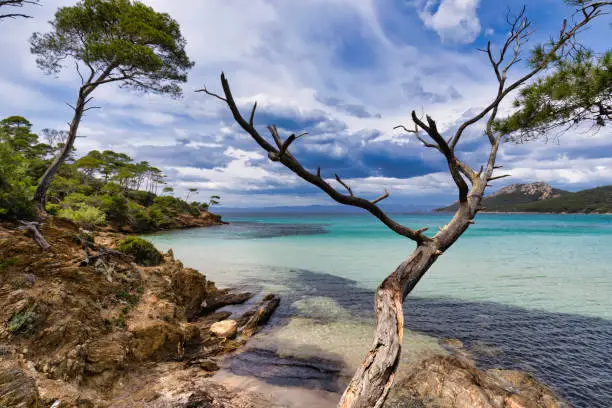 The island of Porquerolles is the largest and most western of the three islands of Hyères with its 12.54 km² of surface. It is located 2.6 km southeast of the Fondue Tower, the southern end of the Giens peninsula, and 9.6 km west of the island of Port-Cros.

This is the beach of Notre Dame. Hidden behind a wood, sheltered from the wind, this beautiful white sand beach located north of the island of Porquerolles is fascinatingly beautiful.
Less crowded than the other beaches of the island, Notre-Dame beach extends for nearly 800 meters. Then you will be quiet to rest, contemplate the landscape and swim in the turquoise blue sea.
This amazing island is the largest and most western of the three islands of Hyères. According to European Best Destinations, an organization that promotes culture and tourism in the Old Continent, this is where the most beautiful beach in Europe is.