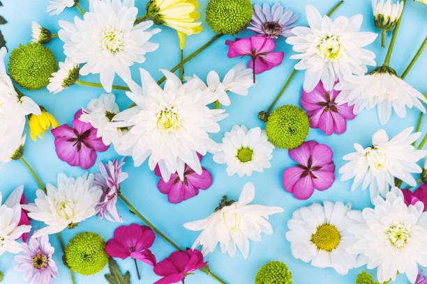 istock Background with many colorful flowers on a blue background. 1223777151