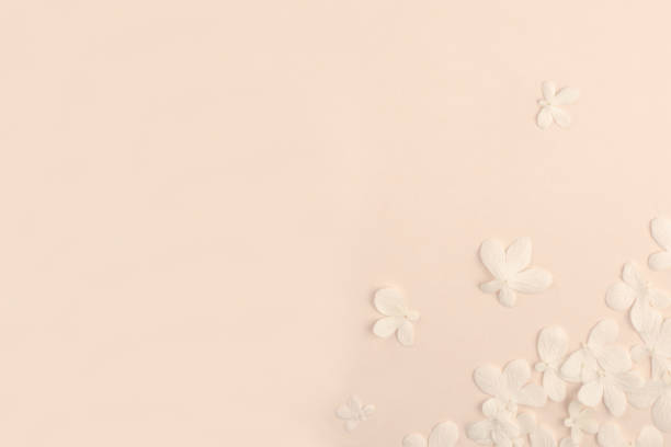 istock Romantic soft pink background with small white flowers 1223778462