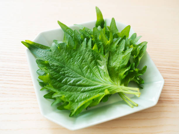 istock Fresh green shiso leaf on a plate 1223778727