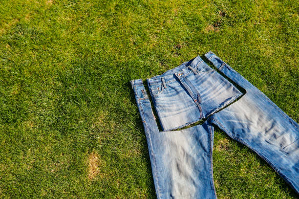 istock Recycle, reuse, repurpose, upcecle, upgrade 1223780422