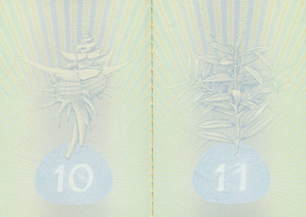 isolated US passport resting on another open passport
