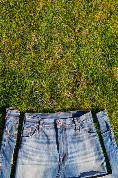 istock Recycle, reuse, repurpose, upcecle, upgrade 1223780610