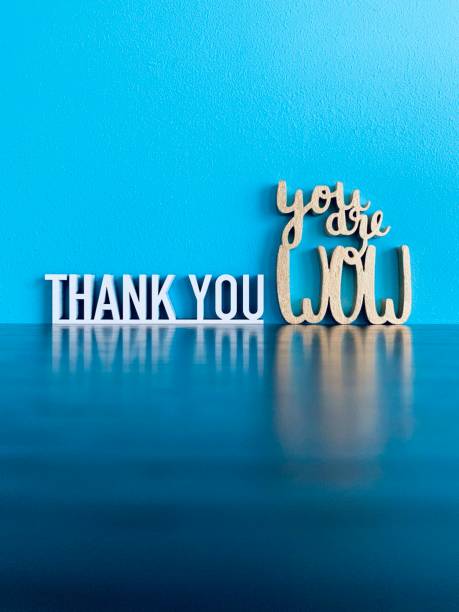 istock Thank you, you are wow 1223781225