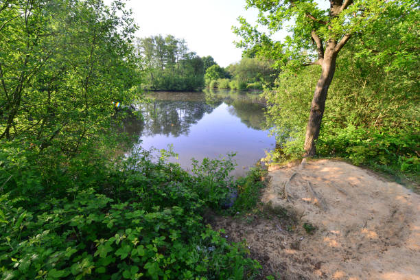 istock Riverside Park in Horley, Surrey in May. 1223784985