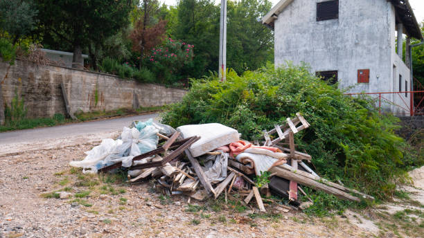 istock Garbage dumped next to abandoned houses. 1223785072