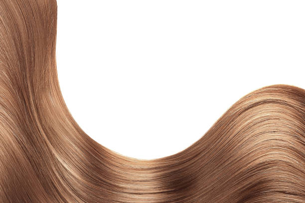 istock Brown hair on white, isolated. Background with copy space 1223785596