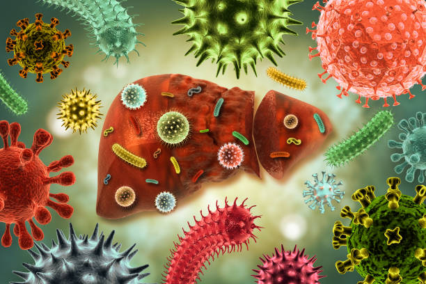 istock Virus or bacteria infected human liver, liver disease, scientific background 1223786748