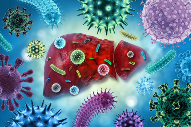 istock Virus or bacteria infected human liver, liver disease, scientific background 1223786803