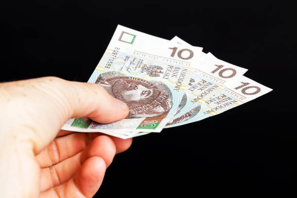 istock Polish money in cash 1223787737