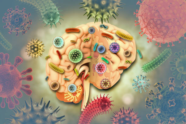 istock Virus or bacteria attacking the human brain, Viral disease, 3d illustration 1223788061