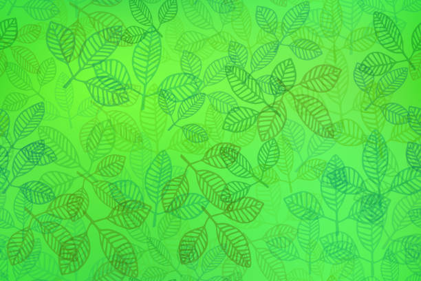 illustrations, cliparts, dessins animés et icônes de green transparent laisse le fond de modèle sans couture - full frame leaf lush foliage backgrounds