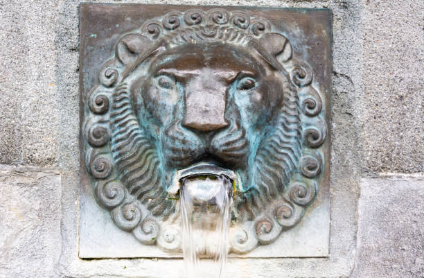 A antique bronze lion head fountain lets water flow from its mouth into a pool.